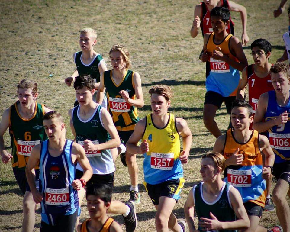 fb_img_1548708516986